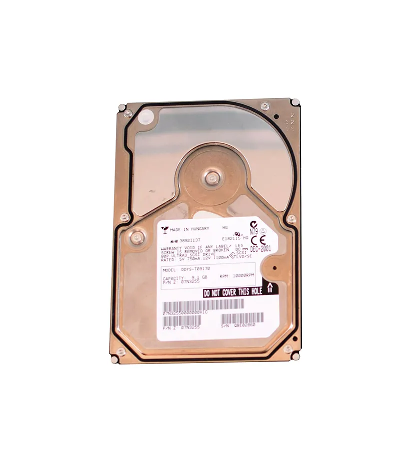 DDYS-T09170-O.webp